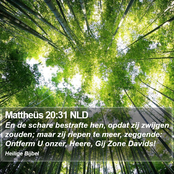 Mattheüs 20:31 NLD Bible Study