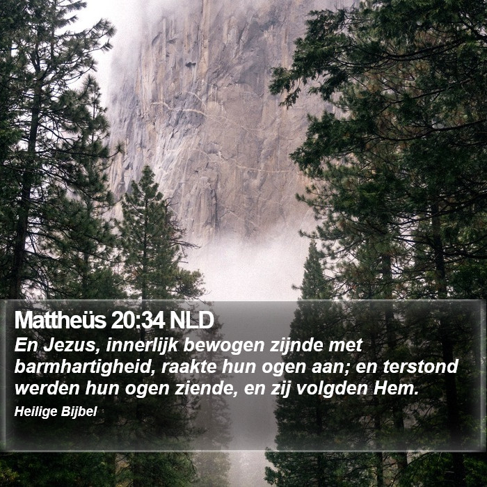 Mattheüs 20:34 NLD Bible Study