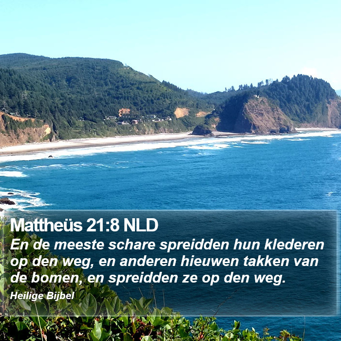 Mattheüs 21:8 NLD Bible Study