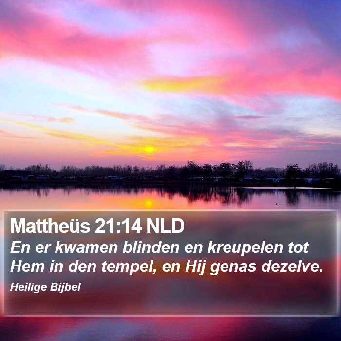 Mattheüs 21:14 NLD Bible Study