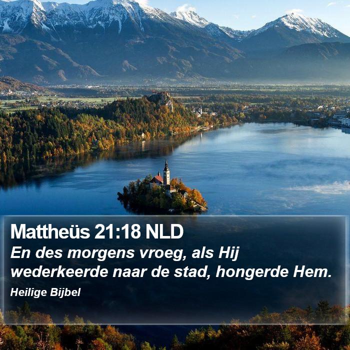 Mattheüs 21:18 NLD Bible Study