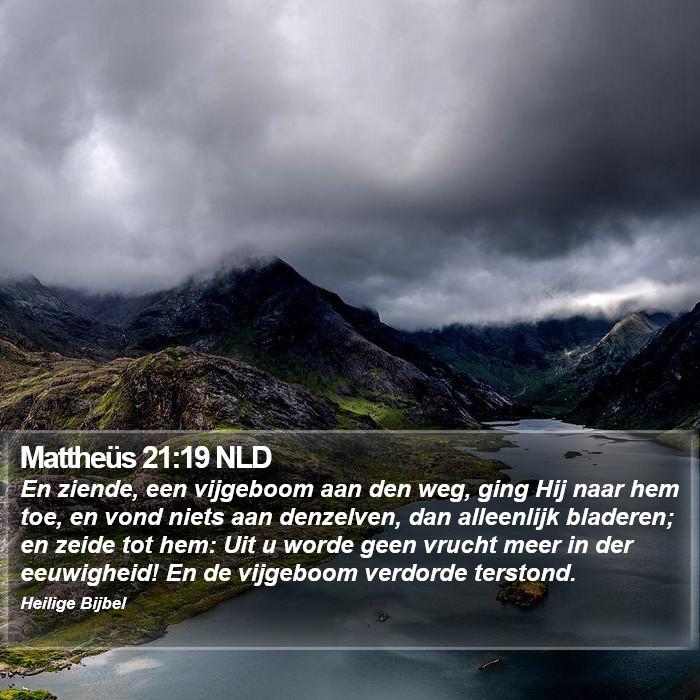 Mattheüs 21:19 NLD Bible Study