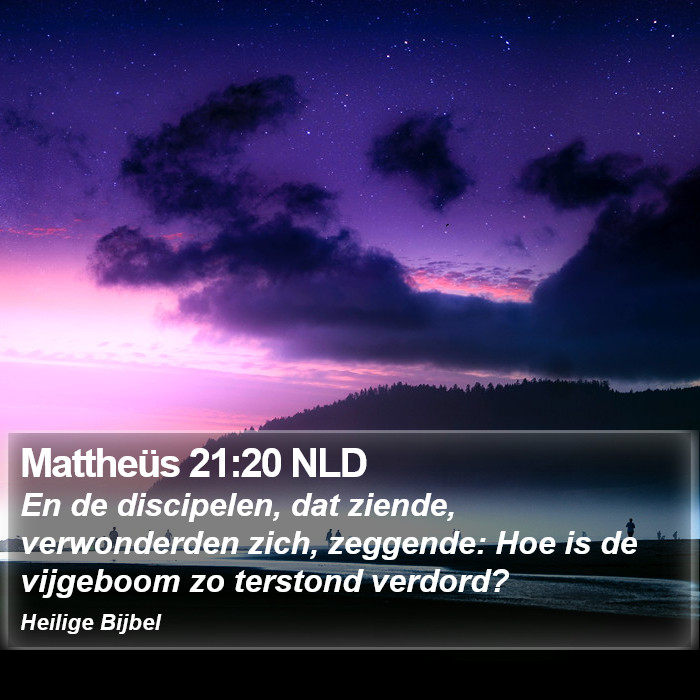 Mattheüs 21:20 NLD Bible Study