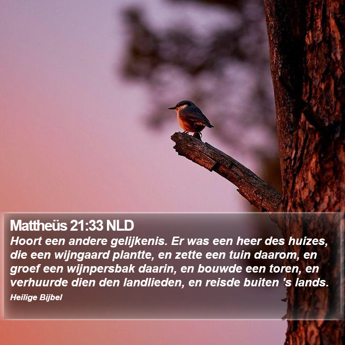 Mattheüs 21:33 NLD Bible Study