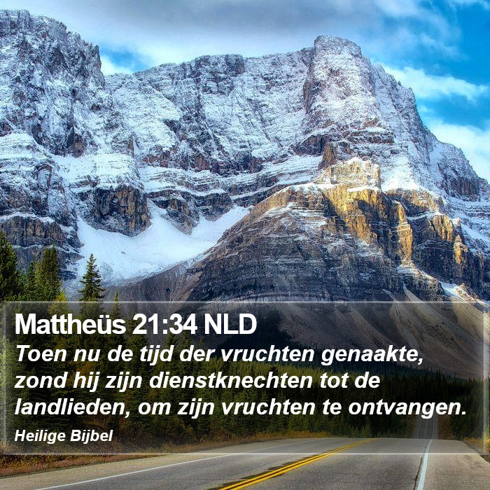 Mattheüs 21:34 NLD Bible Study