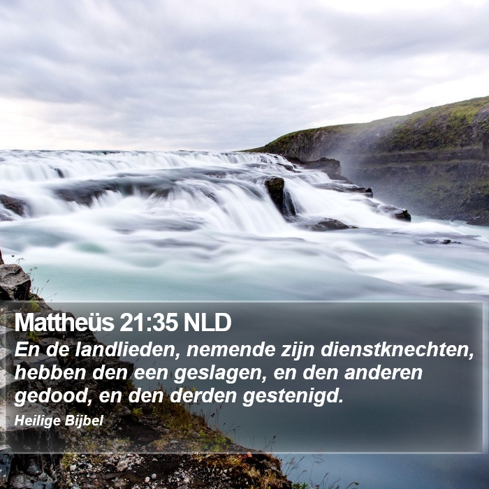 Mattheüs 21:35 NLD Bible Study