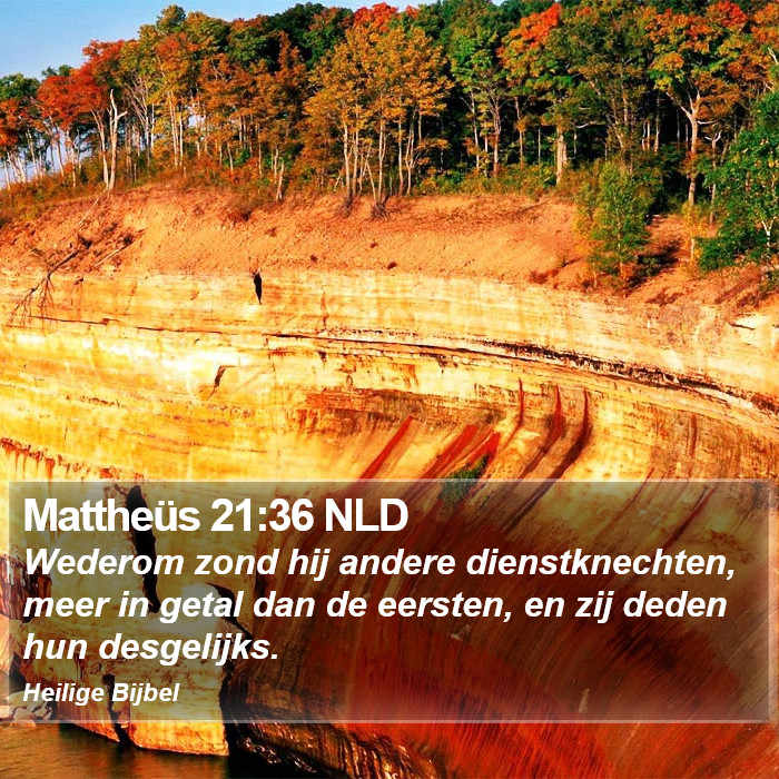 Mattheüs 21:36 NLD Bible Study