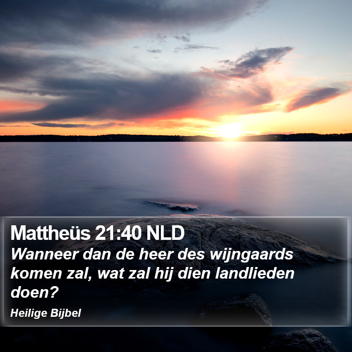 Mattheüs 21:40 NLD Bible Study