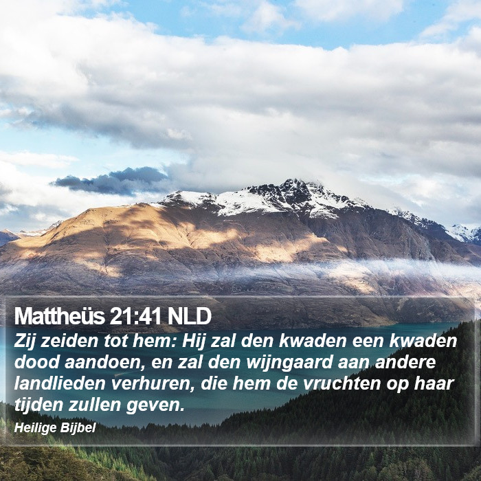 Mattheüs 21:41 NLD Bible Study