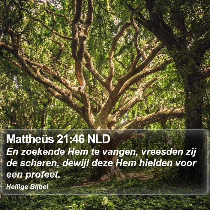 Mattheüs 21:46 NLD Bible Study