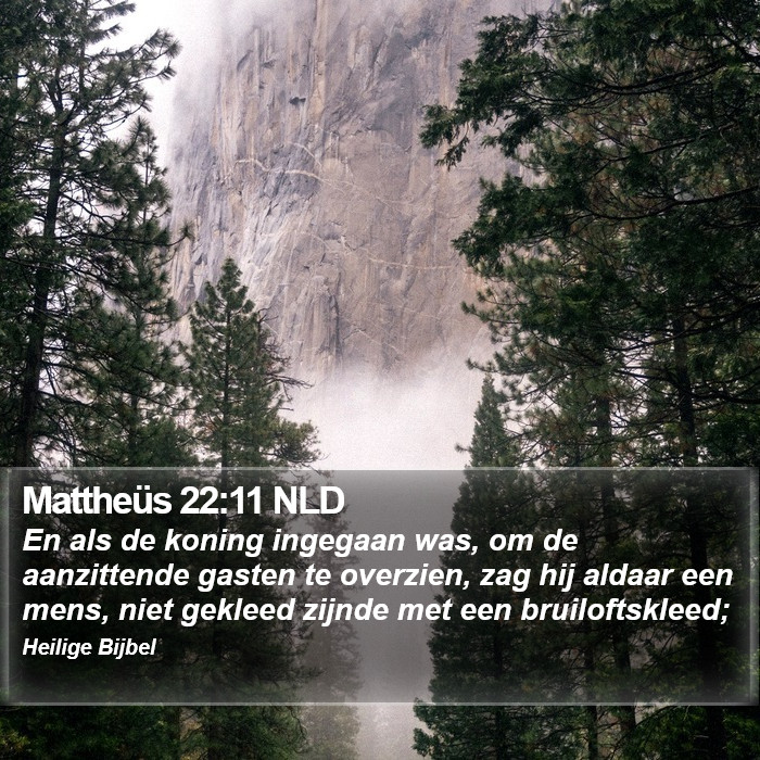 Mattheüs 22:11 NLD Bible Study