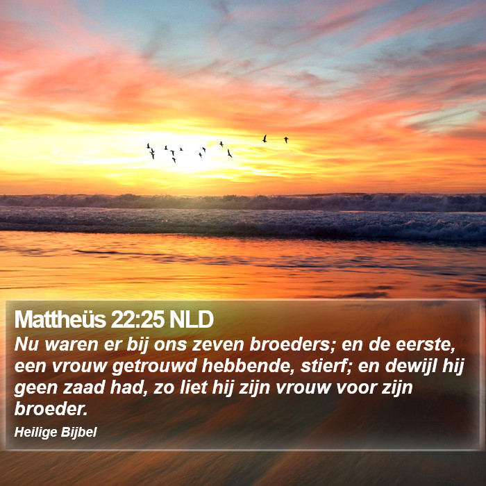 Mattheüs 22:25 NLD Bible Study