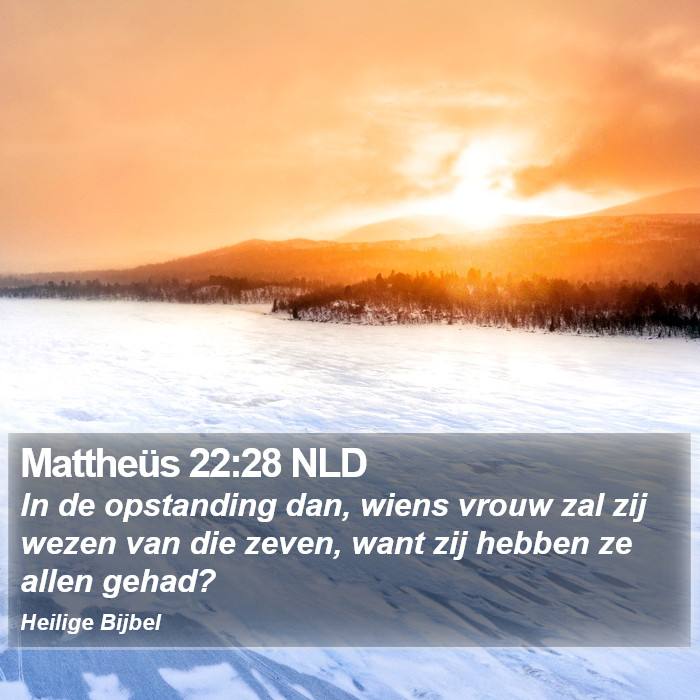 Mattheüs 22:28 NLD Bible Study