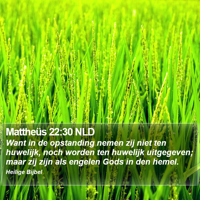 Mattheüs 22:30 NLD Bible Study