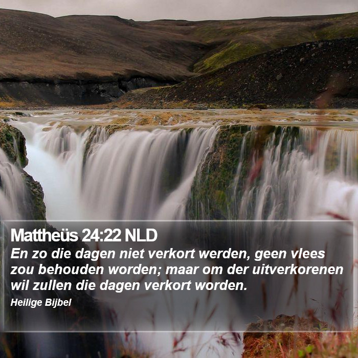 Mattheüs 24:22 NLD Bible Study