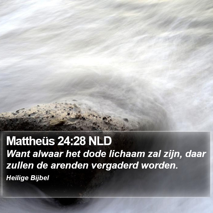 Mattheüs 24:28 NLD Bible Study