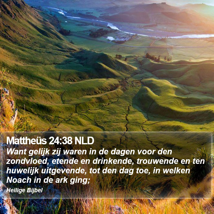 Mattheüs 24:38 NLD Bible Study