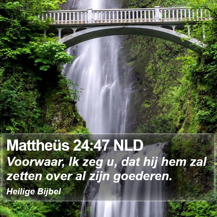 Mattheüs 24:47 NLD Bible Study