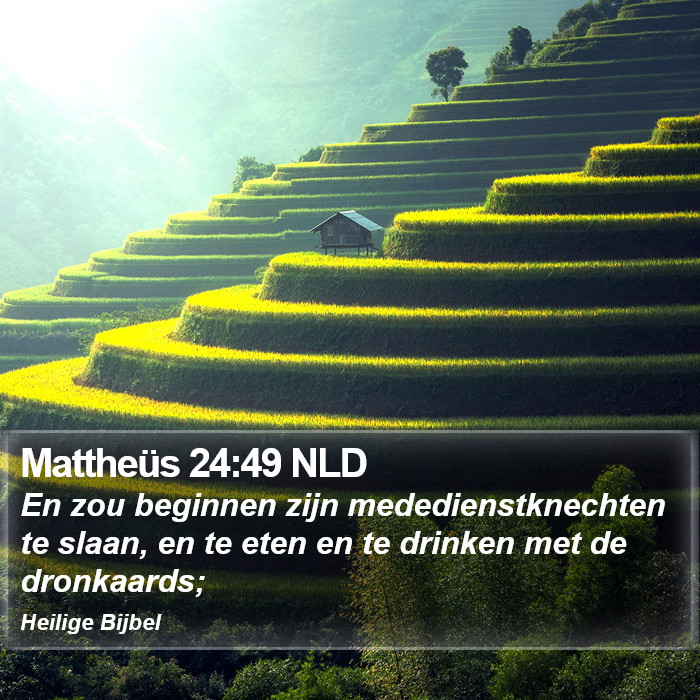 Mattheüs 24:49 NLD Bible Study