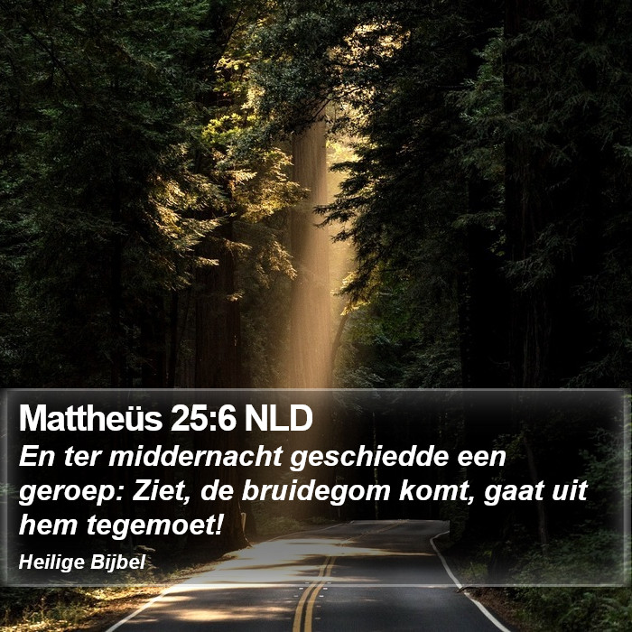 Mattheüs 25:6 NLD Bible Study
