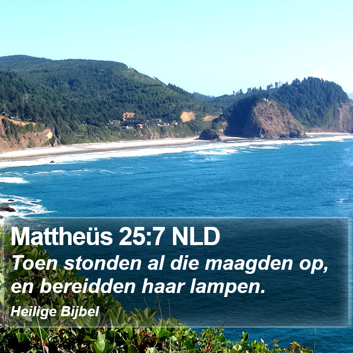 Mattheüs 25:7 NLD Bible Study