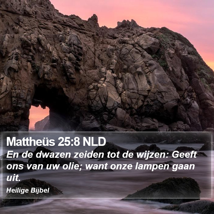 Mattheüs 25:8 NLD Bible Study