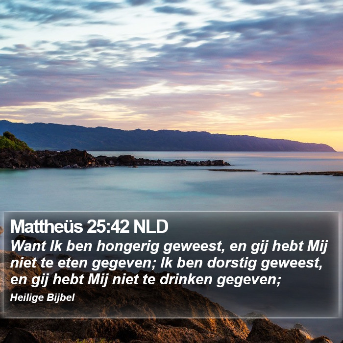 Mattheüs 25:42 NLD Bible Study