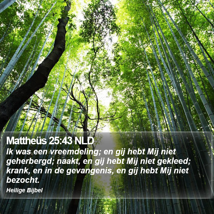 Mattheüs 25:43 NLD Bible Study