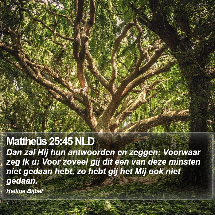 Mattheüs 25:45 NLD Bible Study