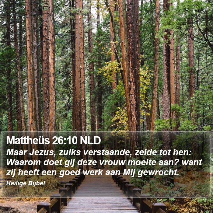 Mattheüs 26:10 NLD Bible Study
