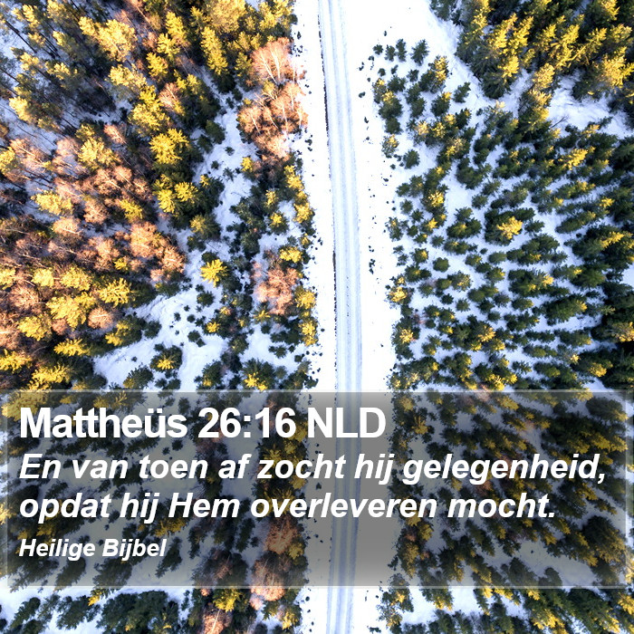 Mattheüs 26:16 NLD Bible Study