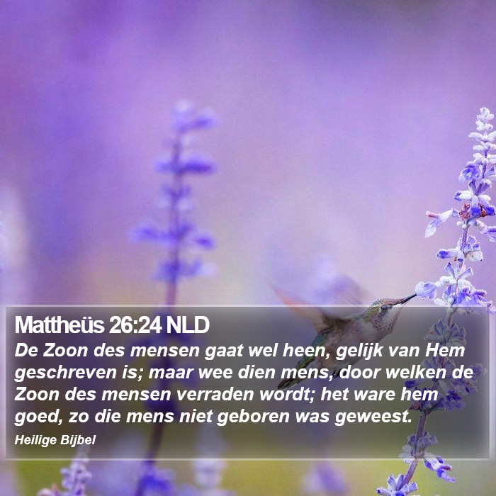 Mattheüs 26:24 NLD Bible Study