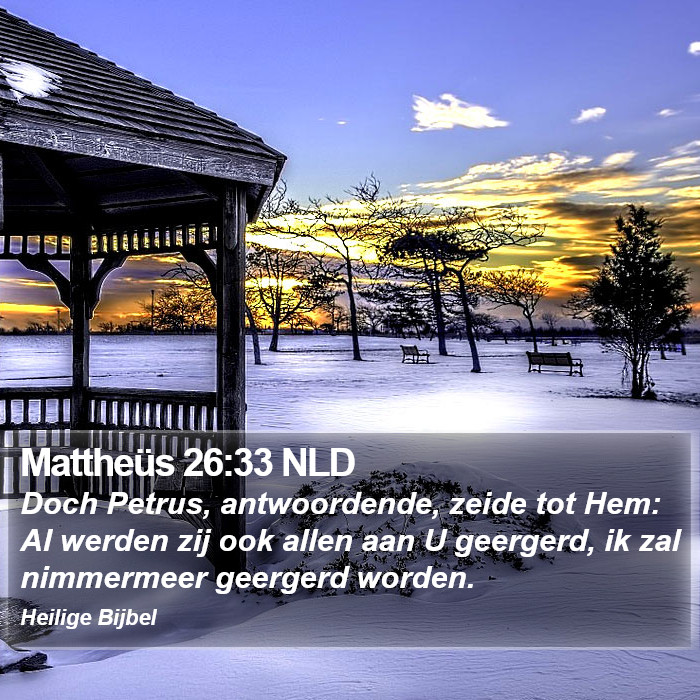 Mattheüs 26:33 NLD Bible Study
