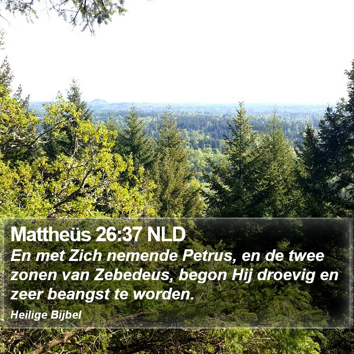 Mattheüs 26:37 NLD Bible Study