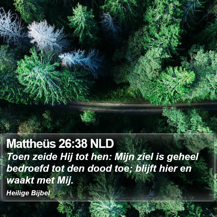 Mattheüs 26:38 NLD Bible Study