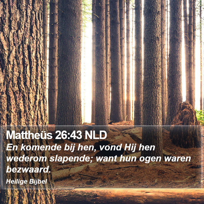 Mattheüs 26:43 NLD Bible Study