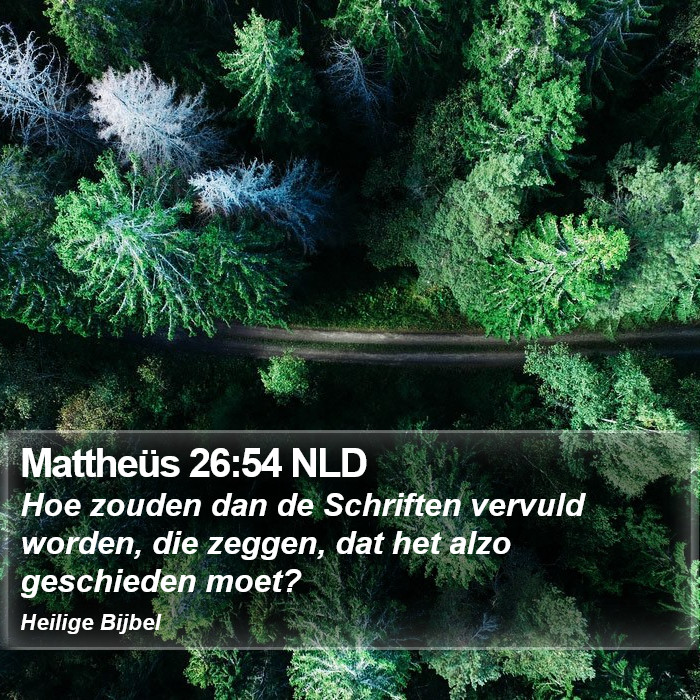 Mattheüs 26:54 NLD Bible Study