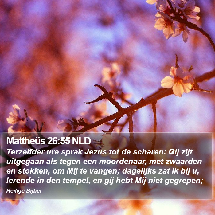 Mattheüs 26:55 NLD Bible Study