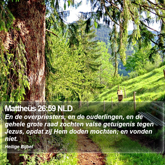 Mattheüs 26:59 NLD Bible Study