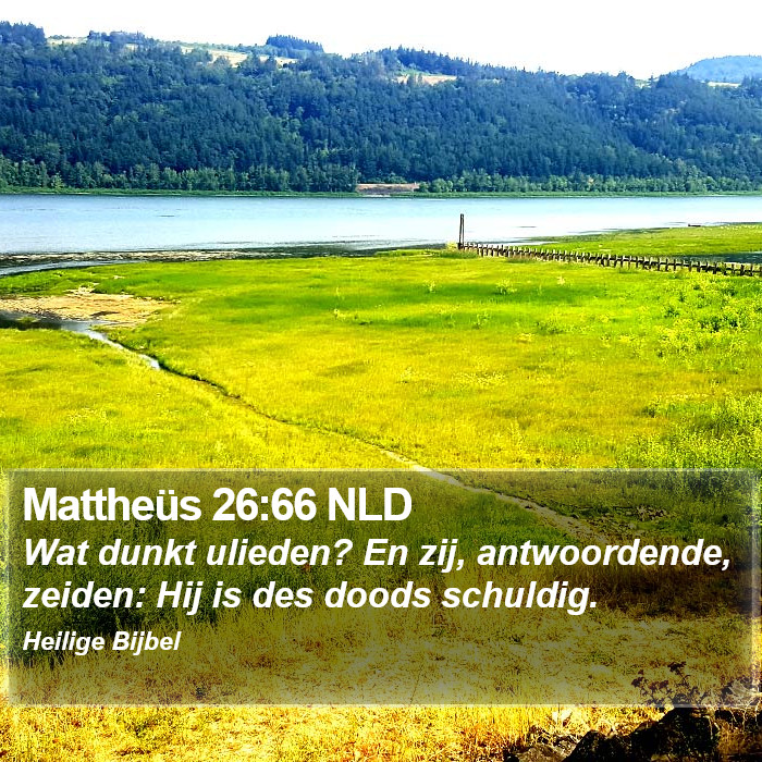Mattheüs 26:66 NLD Bible Study