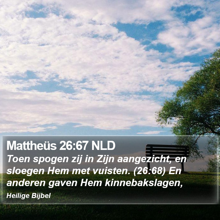 Mattheüs 26:67 NLD Bible Study