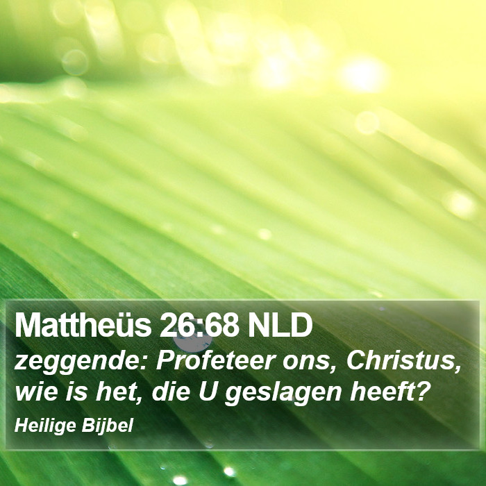 Mattheüs 26:68 NLD Bible Study