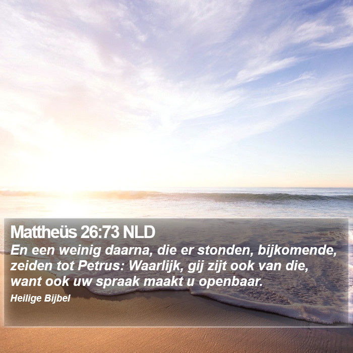 Mattheüs 26:73 NLD Bible Study