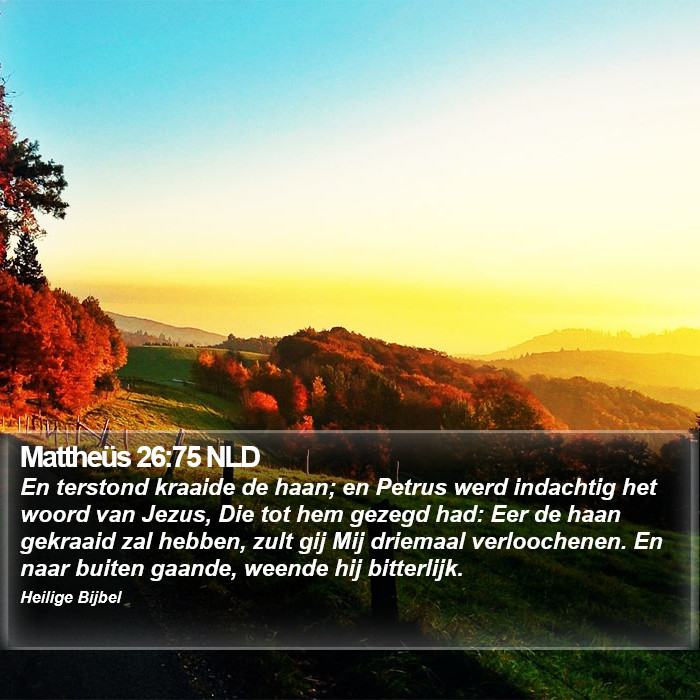 Mattheüs 26:75 NLD Bible Study