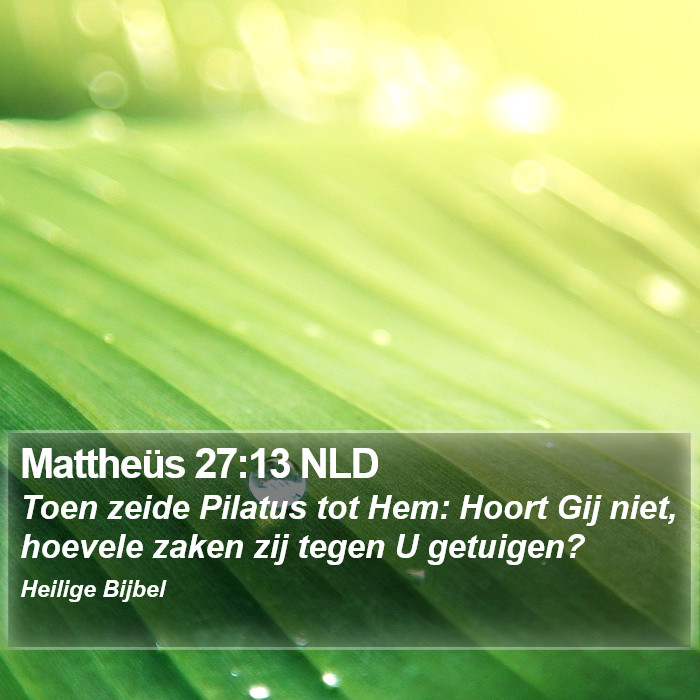 Mattheüs 27:13 NLD Bible Study