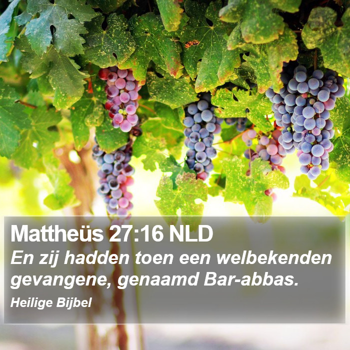 Mattheüs 27:16 NLD Bible Study