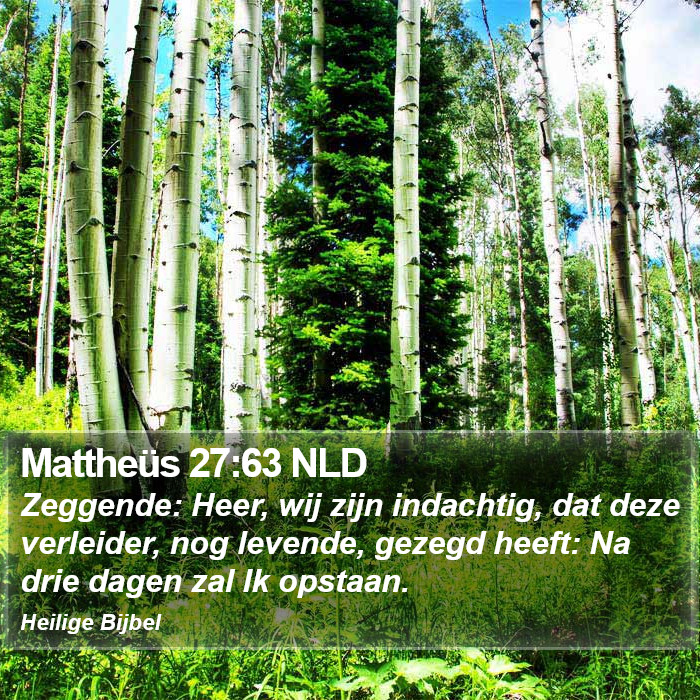 Mattheüs 27:63 NLD Bible Study