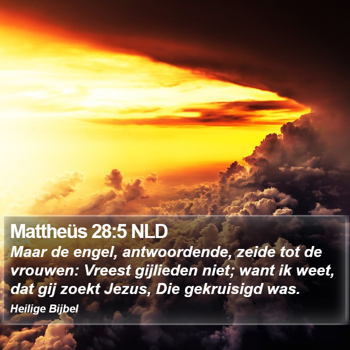 Mattheüs 28:5 NLD Bible Study