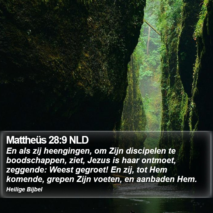 Mattheüs 28:9 NLD Bible Study