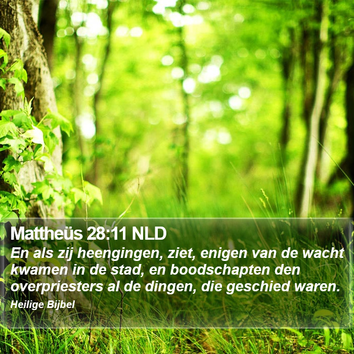 Mattheüs 28:11 NLD Bible Study